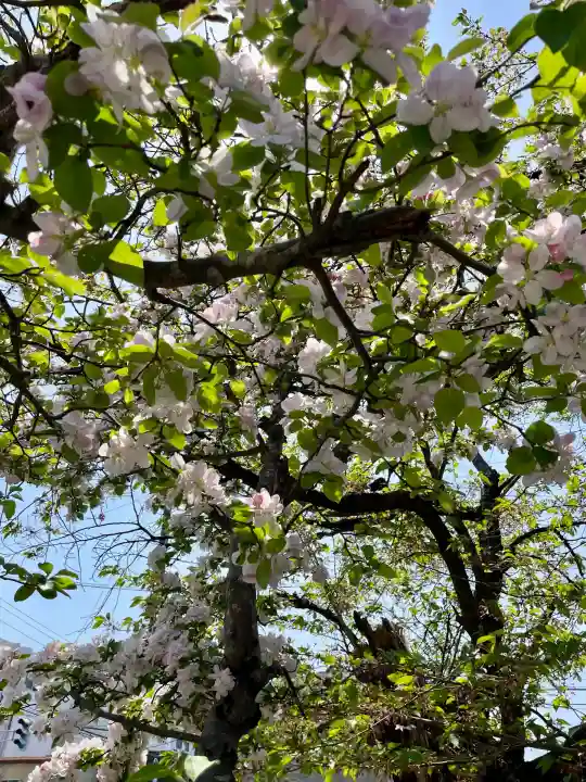 蓮華寺(福島県)
