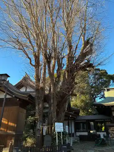 登渡神社(千葉県)
