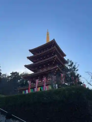 高幡不動尊　金剛寺の{uncategorized: "未分類", other: "その他", undefined: "問題あり", building: "その他建物", grave: "お墓", sacred_gate: "鳥居", guardian: "狛犬", statue: "像", buddha: "仏像", history: "歴史", nature: "自然", garden: "庭園", animal: "動物", pagoda: "塔", temizu: "手水舎", mountain_gate: "山門・神門", sanctuary: "本殿・本堂", subordinate: "末社・摂社", art: "芸術", scenery: "景色", jizo: "地蔵", ema: "絵馬", goshuin: "御朱印", omikuji: "おみくじ", items: "授与品その他", amulet: "お守り", goshuincho: "御朱印帳", eats: "食事", festival: "お祭り", votive_dance: "神楽", shichigosan: "七五三参", wedding: "結婚式", experience: "体験その他", initially: "初詣", around: "周辺", anti_infection: "感染症対策"}
