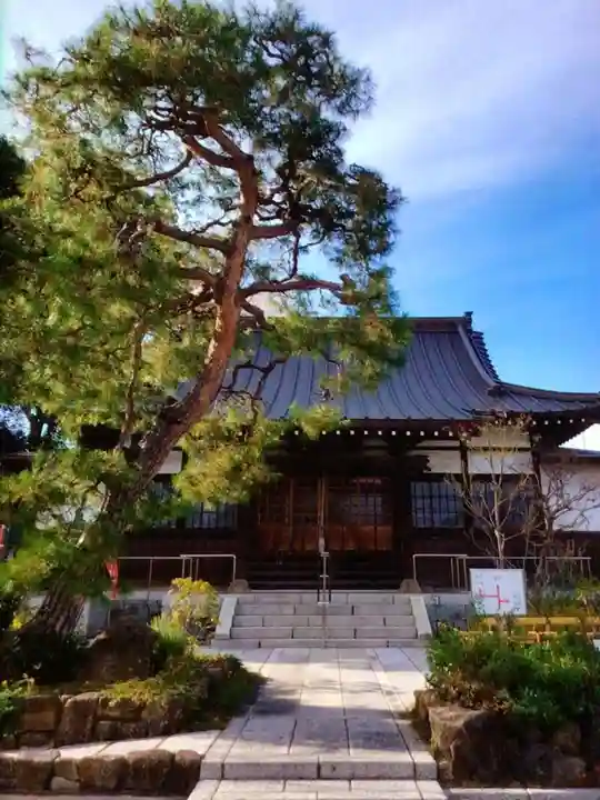 寿福寺(東京都)