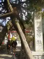 荏柄天神社のその他建物