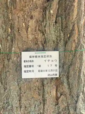 清瀧院(千葉県)