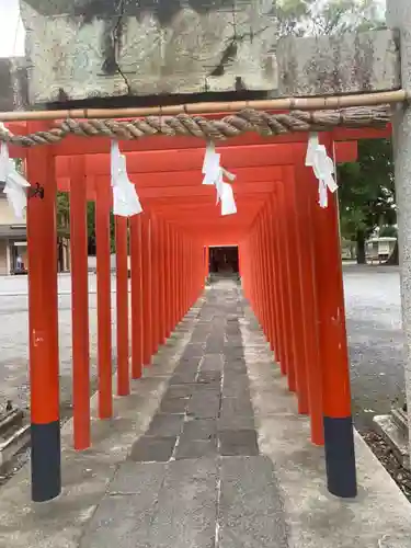 箭弓稲荷神社の鳥居