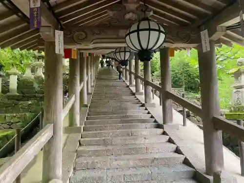 長谷寺の{uncategorized: "未分類", other: "その他", undefined: "問題あり", building: "その他建物", grave: "お墓", sacred_gate: "鳥居", guardian: "狛犬", statue: "像", buddha: "仏像", history: "歴史", nature: "自然", garden: "庭園", animal: "動物", pagoda: "塔", temizu: "手水舎", mountain_gate: "山門・神門", sanctuary: "本殿・本堂", subordinate: "末社・摂社", art: "芸術", scenery: "景色", jizo: "地蔵", ema: "絵馬", goshuin: "御朱印", omikuji: "おみくじ", items: "授与品その他", amulet: "お守り", goshuincho: "御朱印帳", eats: "食事", festival: "お祭り", votive_dance: "神楽", shichigosan: "七五三参", wedding: "結婚式", experience: "体験その他", initially: "初詣", around: "周辺", anti_infection: "感染症対策"}