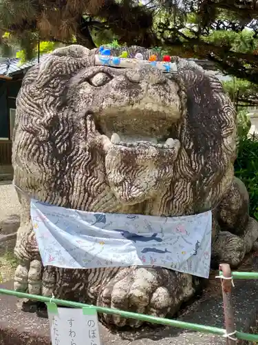 京都乃木神社の狛犬