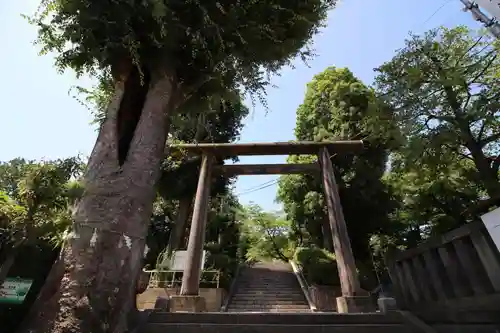 所澤神明社の鳥居