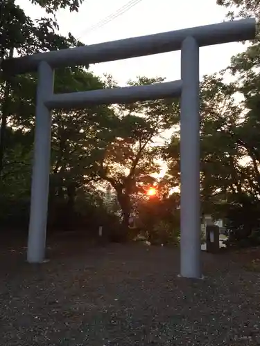 砂川神社の鳥居