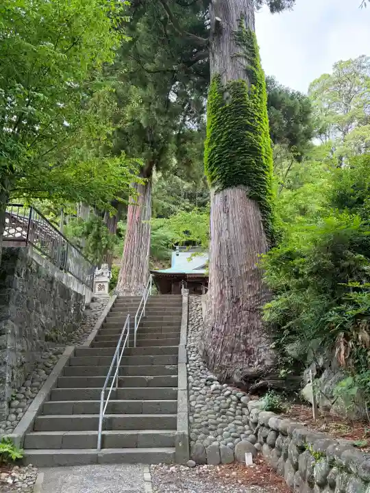 修禅寺の{uncategorized: "未分類", other: "その他", undefined: "問題あり", building: "その他建物", grave: "お墓", sacred_gate: "鳥居", guardian: "狛犬", statue: "像", buddha: "仏像", history: "歴史", nature: "自然", garden: "庭園", animal: "動物", pagoda: "塔", temizu: "手水舎", mountain_gate: "山門・神門", sanctuary: "本殿・本堂", subordinate: "末社・摂社", art: "芸術", scenery: "景色", jizo: "地蔵", ema: "絵馬", goshuin: "御朱印", omikuji: "おみくじ", items: "授与品その他", amulet: "お守り", goshuincho: "御朱印帳", eats: "食事", festival: "お祭り", votive_dance: "神楽", shichigosan: "七五三参", wedding: "結婚式", experience: "体験その他", initially: "初詣", around: "周辺", anti_infection: "感染症対策"}