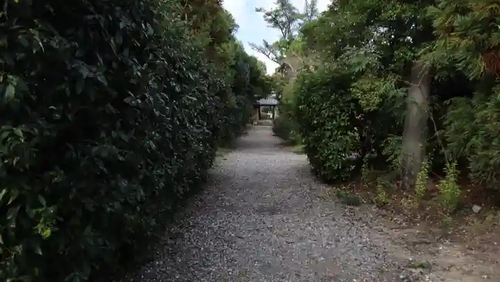 海龍王寺の自然