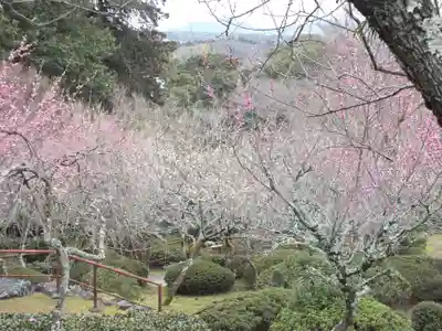 石山寺(滋賀県)