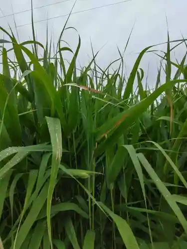 厚別神社(北海道)