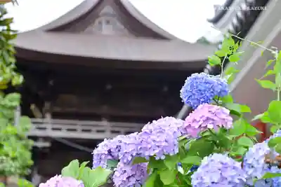 高幡不動尊 金剛寺の本殿・本堂