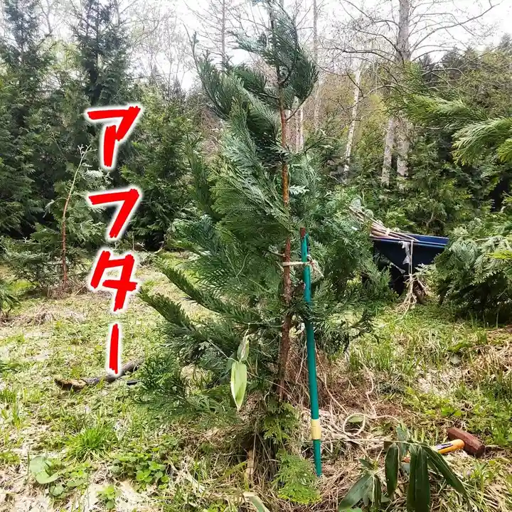 七重浜海津見神社(北海道)