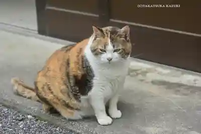 賀茂別雷神社(栃木県)