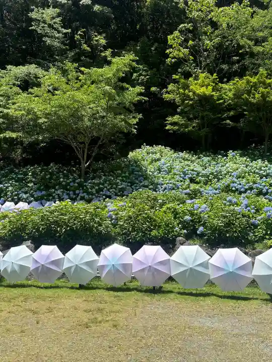 尊永寺(静岡県)