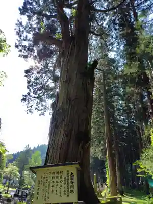 大圓寺(秋田県)