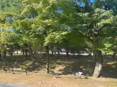 仁和寺(京都府)