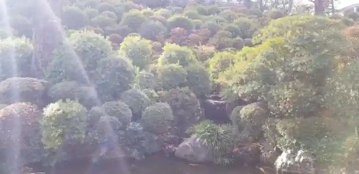 根津神社(東京都)