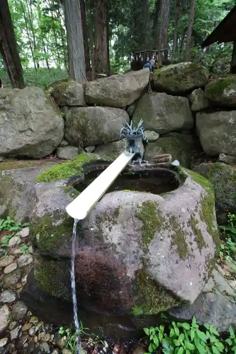 戸隠神社火之御子社の手水舎