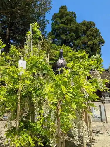 志那神社(滋賀県)