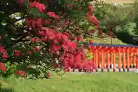 高屋敷稲荷神社の景色