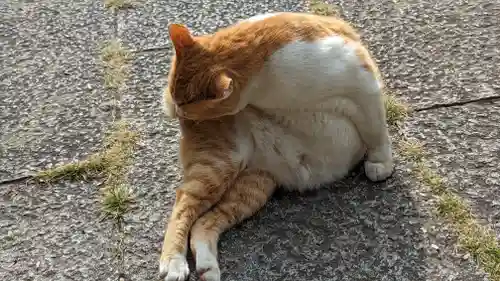 乗願寺(京都府)