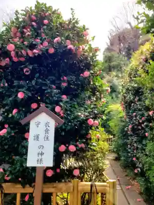 白金氷川神社(東京都)