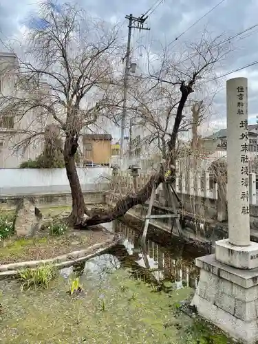 浅澤社（住吉大社境外末社）の自然