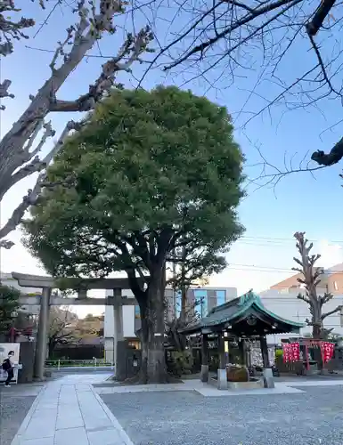 麻布氷川神社(東京都)