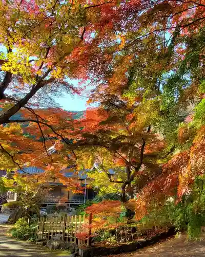 普門寺(切り絵御朱印発祥の寺)の自然