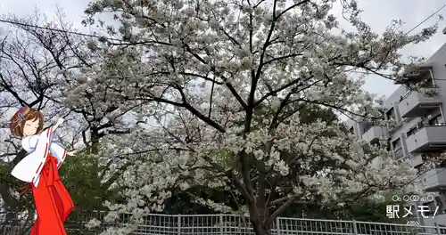 川端水神社の自然