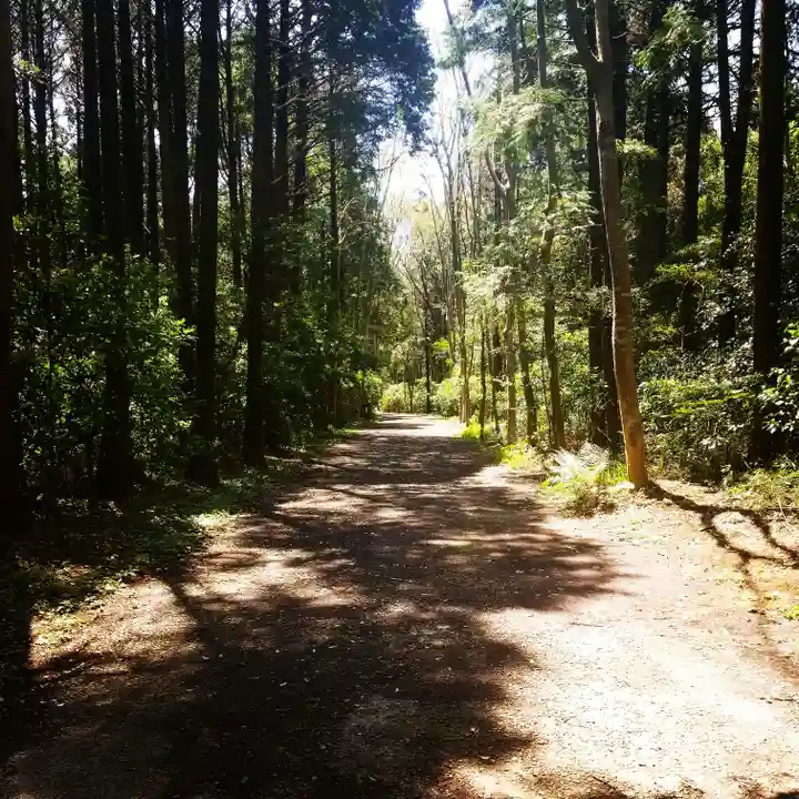 鹿島神宮の自然
