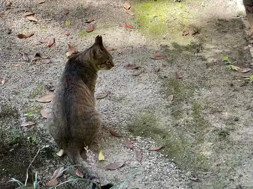 神戸神社(三重県)