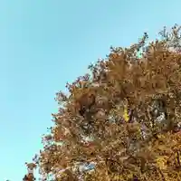 豊景神社の自然