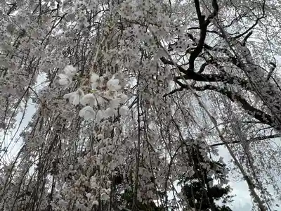 久遠寺(山梨県)