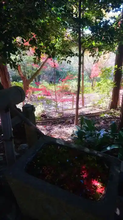 玉野御嶽神社の手水舎