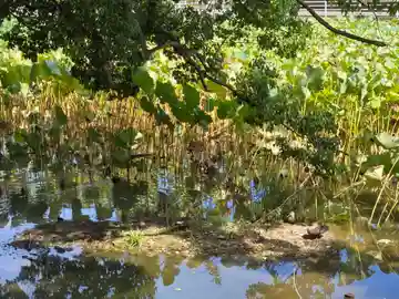 櫻宮神社(静岡県)
