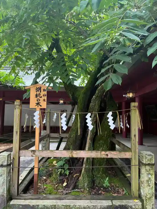 笠間稲荷神社(茨城県)
