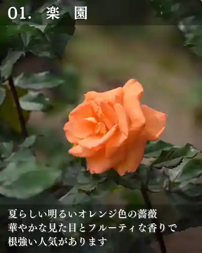 宝光寺(北海道)