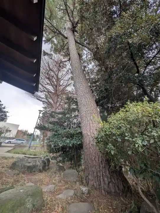 出世稲荷神社(東京都)