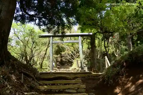 大山阿夫利神社本社の鳥居