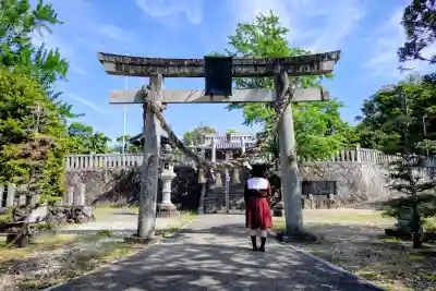 八幡社（東尾八幡社）の{uncategorized: "未分類", other: "その他", undefined: "問題あり", building: "その他建物", grave: "お墓", sacred_gate: "鳥居", guardian: "狛犬", statue: "像", buddha: "仏像", history: "歴史", nature: "自然", garden: "庭園", animal: "動物", pagoda: "塔", temizu: "手水舎", mountain_gate: "山門・神門", sanctuary: "本殿・本堂", subordinate: "末社・摂社", art: "芸術", scenery: "景色", jizo: "地蔵", ema: "絵馬", goshuin: "御朱印", omikuji: "おみくじ", items: "授与品その他", amulet: "お守り", goshuincho: "御朱印帳", eats: "食事", festival: "お祭り", votive_dance: "神楽", shichigosan: "七五三参", wedding: "結婚式", experience: "体験その他", initially: "初詣", around: "周辺", anti_infection: "感染症対策"}