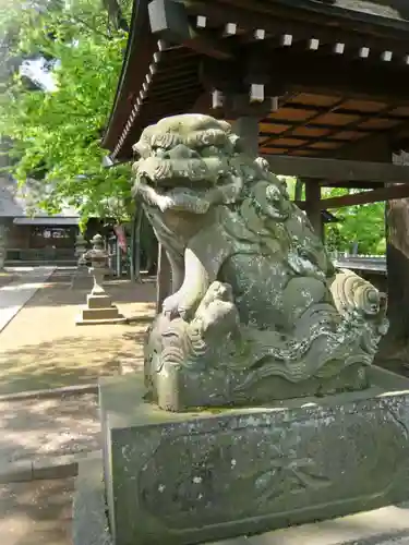 所澤神明社の狛犬