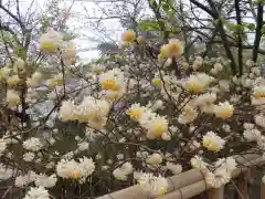 長谷寺(神奈川県)