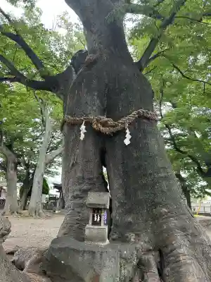 美和神社(長野県)