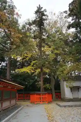 香椎宮のその他建物