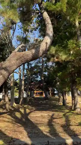 神山稲荷神社(北海道)