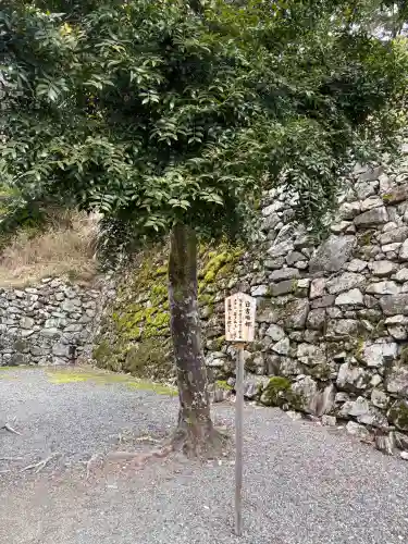 日吉大社の{uncategorized: "未分類", other: "その他", undefined: "問題あり", building: "その他建物", grave: "お墓", sacred_gate: "鳥居", guardian: "狛犬", statue: "像", buddha: "仏像", history: "歴史", nature: "自然", garden: "庭園", animal: "動物", pagoda: "塔", temizu: "手水舎", mountain_gate: "山門・神門", sanctuary: "本殿・本堂", subordinate: "末社・摂社", art: "芸術", scenery: "景色", jizo: "地蔵", ema: "絵馬", goshuin: "御朱印", omikuji: "おみくじ", items: "授与品その他", amulet: "お守り", goshuincho: "御朱印帳", eats: "食事", festival: "お祭り", votive_dance: "神楽", shichigosan: "七五三参", wedding: "結婚式", experience: "体験その他", initially: "初詣", around: "周辺", anti_infection: "感染症対策"}