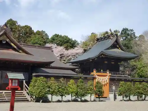 鷲宮神社(埼玉県)