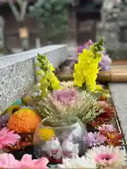 竹駒神社(宮城県)